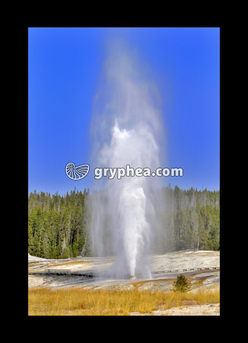 Geyser (Yellowstone NP, Wyoming, USA) - gryphea.org